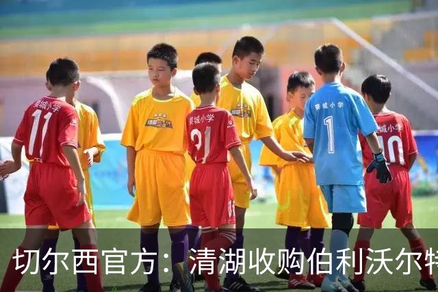 切尔西官方：清湖收购伯利/沃尔特股份，将获得俱乐部完全控制权